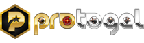 Slot777 Protogel
